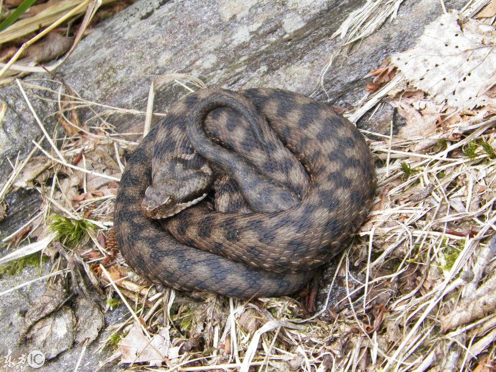 吉林，活力四溢的希望之地