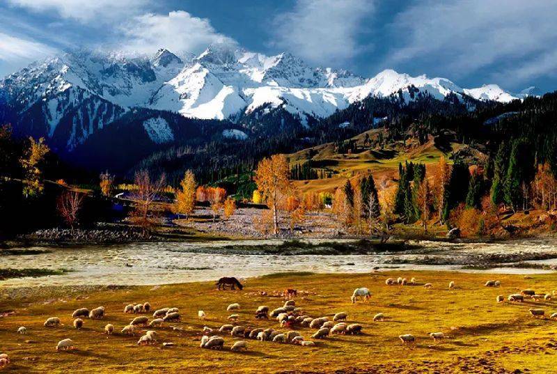 新疆，多元文化交融的瑰宝与和谐共生的典范